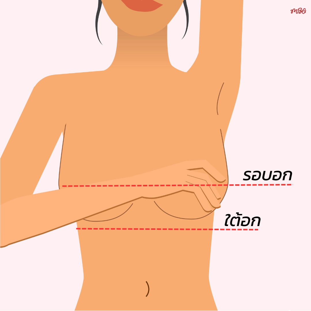 Blog  How to Measure Bra Size?